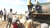 Les défis du développement de l'agriculture au Nigeria