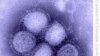 Obama Declares Swine Flu A 'National Emergency'