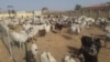 Hukumomi Sun Kama Wani Babban Barawon Shanu A Jihar Neja