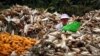 World Food Day: Co-Operatives Feed People Around Globe