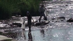 Annual Los Angeles River Cleanup Highlights Scarce Resource: Water