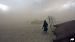 A Tuareg woman walks during a sandstorm in Ingal, Niger, September 18, 2011. Scientists say such storms could increase with climate change.
