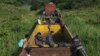 Des migrants du Honduras montent dans un train de marchandises en direction du nord, à Salto del Agua, au Mexique, le 25 juin 2019.