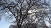 White House Rides Out Snow Storm