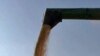 Congress Considers Cutting Gasoline Makers' Ethanol Subsidy