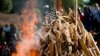 CITES Signatories to Tackle Online Wildlife Trafficking