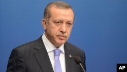 Turkey's Prime Minister Recep Tayyip Erdogan talks to the media during a news conference at the government house Rosenbad in Stockholm, Nov.7, 2013