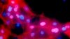 16x9 Image