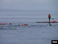 Safety kayaks and paddleboarders escorted paying customers on the group swim. (VOA / T. Banse)