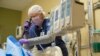Scientists Take First Steps to Growing Human Organs in Pigs