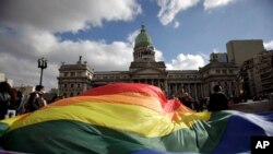 FILE - In this July 14, 2010 file photo, demonstrators wave a gay pride flag outside Congress in support of a proposal to legalize same-sex marriage in Buenos Aires. 