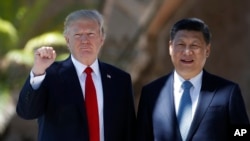 Donald Trump et Xi Jinping, Mar-a-Lago, le 7 avril 2017, Palm Beach, Floride, USA. (AP Photo/Alex Brandon)