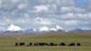 Researchers: Tibetan Glacial Melt Threatens Billions