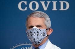 Dr. Anthony Fauci, pakar penyakit menular AS. (Foto: dok.)