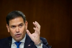 FILE - Sen. Marco Rubio, R-Fla., speaks during a Senate Foreign Relations Committee hearing, on Capitol Hill in Washington.