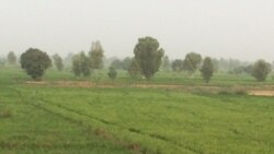 Kayan Amfanin Gona