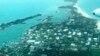 Foto dari udara yang dirilis oleh Medic Corps tampak kerusakan akibat Badai Dorian di Man-o-War Cay, Bahama, Selasa, 3 September 2019. (Foto: Medic Corps via AP)