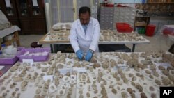 Conservator Sherazuddin Saifi works on pieces of a small statue damaged by the Taliban because they were judged to be against Islam, at the National Museum of Afghanistan, in Kabul, Afghanistan, Aug. 17, 2019. 