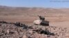 Hezbollah, Syrian Forces Say Close to Ousting IS From Border