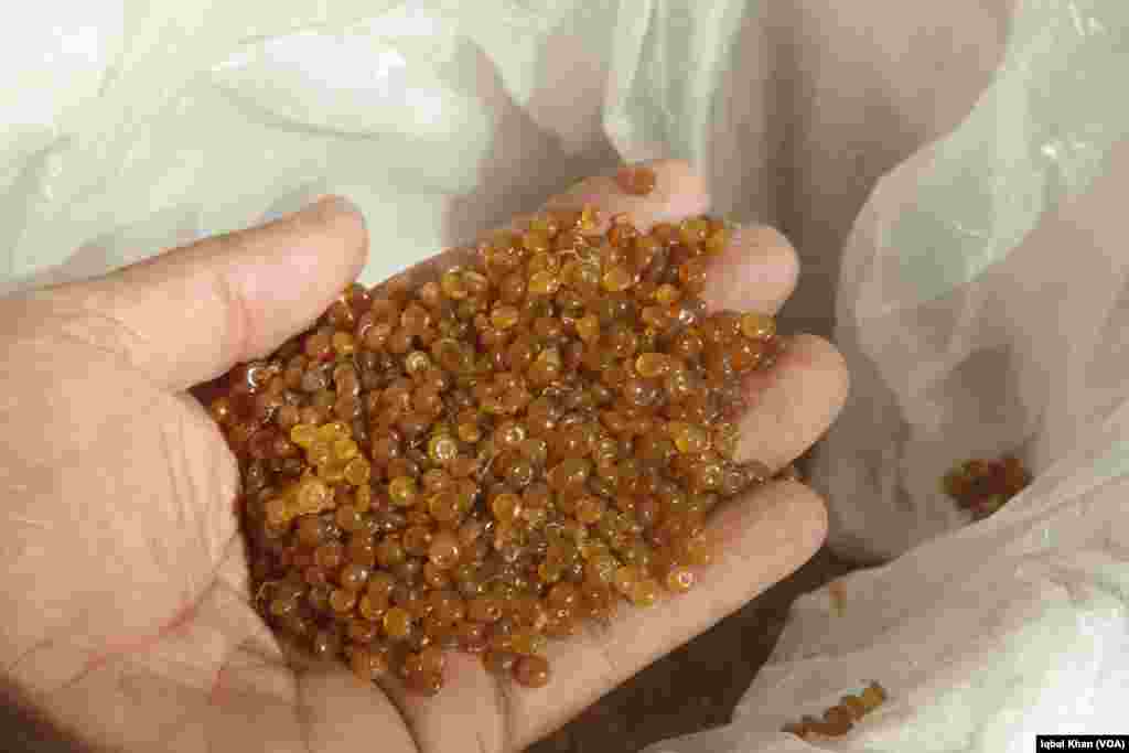 ایک کاری گر روزانہ تقریبا 30 کلو لاکھ چپڑا تیار کرتا ہے۔