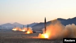 북한 김정은 국무위원장이 조선인민군 전략군 화성포병부대들의 탄도로케트발사훈련을 현지에서 지도했다고, 조선중앙통신이 지난 7일 보도했다.