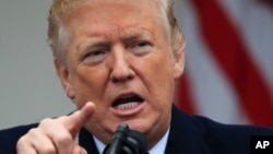 President Donald Trump speaks in the Rose Garden of the White House in Washington after a meeting with congressional leaders on border security as the government shutdown continues, Jan. 4, 2019, in Washington.
