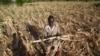Le PAM manque de fonds face à l'aggravation de la famine en Afrique