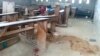 New Report Blames Separatists in Cameroon for Gross Human Rights Violations 