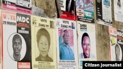 Zimbabweans in the Diaspora are demanding a say in the national elections