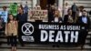 UN: Humans Put 1 Million Species at Risk of Extinction