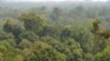 Human Health Depends on Biodiversity