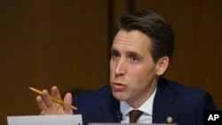 Один із співавторів поправки сенатор Джош Говлі послідовно виступає проти надання Україні допомоги