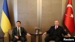 Zelensky 