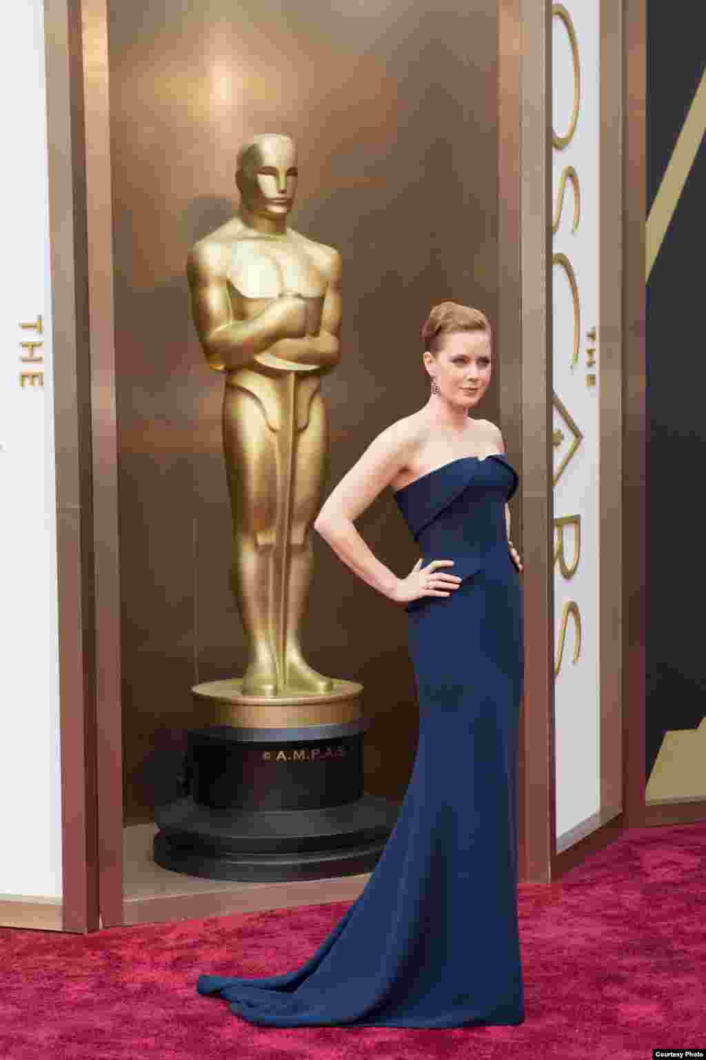 Aktris Amy Adams tiba di karpet merah Academy Awards ke-86.
