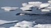 Worrisome Warming of North, South Poles