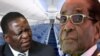 Mugabe and Emmerson Mnangagwa