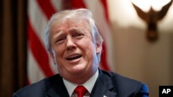 Shugaba Donald Trump