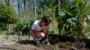 The Garden Treatment: Gardening Is Keeping Some People Sane During the Pandemic