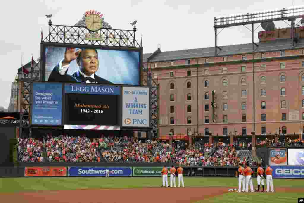 សមាជិកក្រុមវាយកូនបាល់ Baltimore Orioles សម្តែងការគោរពដល់អ្នកប្រដាល់លោក Muhammad Ali ដោយឈរស្ងៀមស្ងាត់ មុនពេលការប្រកួតជាមួយនឹងក្រុម New York Yankees ក្នុងក្រុង Baltimore កាលពីថ្ងៃទី០៤ ខែមិថុនា ឆ្នាំ២០១៦។ លោក Ali បានស្លាប់នៅអាយុ ៧៤ឆ្នាំ។