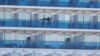 Fear, Boredom, Adventure Fill Each Day on Quarantined Ship in Japanese Port 