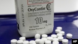 FILE - OxyContin pills, an opioid drug, are arranged for a photo at a pharmacy in Montpelier, Vermont, Feb. 19, 2013. Americans, even though comprising only five percent of the world's population, consume eighty percent of the its supply of pain medicatio