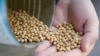 Trade Pain: US Small Companies Hit by Import, Export Tariffs