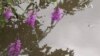 16x9 Image