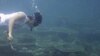 Australian Scientists Warn Asian, Indian Ocean Reefs Dying