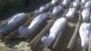 'Yan Ta'adda Sun Yi Ma Wasu Mutane Yankar Rago A Maiduguri