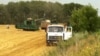 China Turns to Ukraine as Food Source