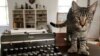 Hemingway Museum and Six-toed Cats Ride Out Irma Unscathed