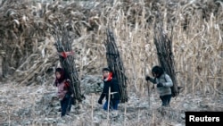 지난 2013년 12월일 북-중 접경 도시 신의주 압록강변에서 소녀들이 나무를 지고 있다. (자료사진)