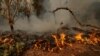 As US West Burns, Climate Change Rises Among Campaign Issues