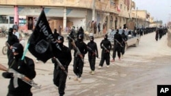 Des combattants du groupe Etat Islamique à Raqqa, Syrie, 14 janvier 2014
